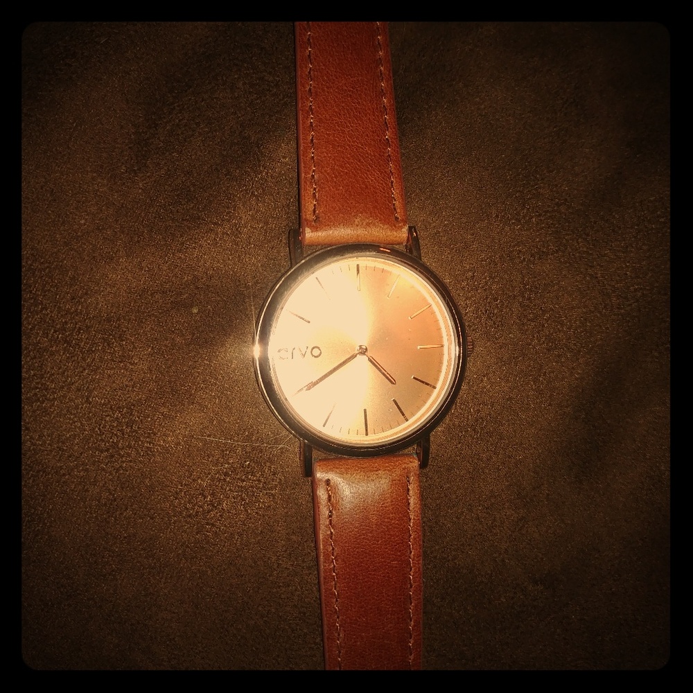 ARVO Watch